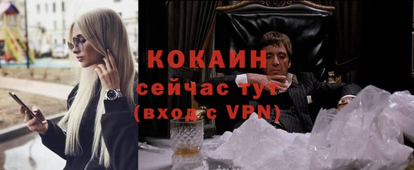 шишки Абинск