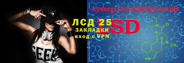 шишки Абинск