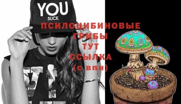 шишки Абинск