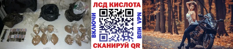 ЛСД экстази ecstasy  цена наркотик  Вышний Волочёк 